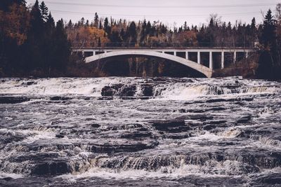 Scenic view of arch bridge over river in forest