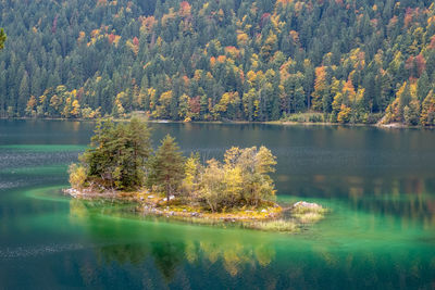 Reflection of trees in lake during autumn