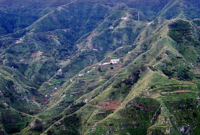 High angle view of agricultural landscape