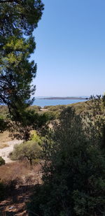 Scenic view of sea against clear sky