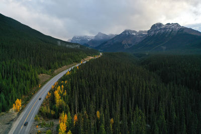 Beautiful aerial view of the icefield park way in autumn, with many pine trees around it.