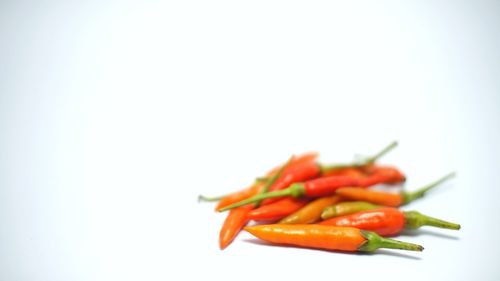 Close-up of chili peppers over white background