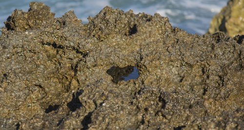 Close-up of rocks in water