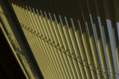 Close-up of blinds