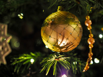 Close-up of illuminated christmas tree