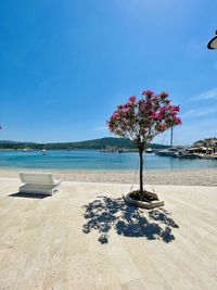 Scenic view of beach against blue sky