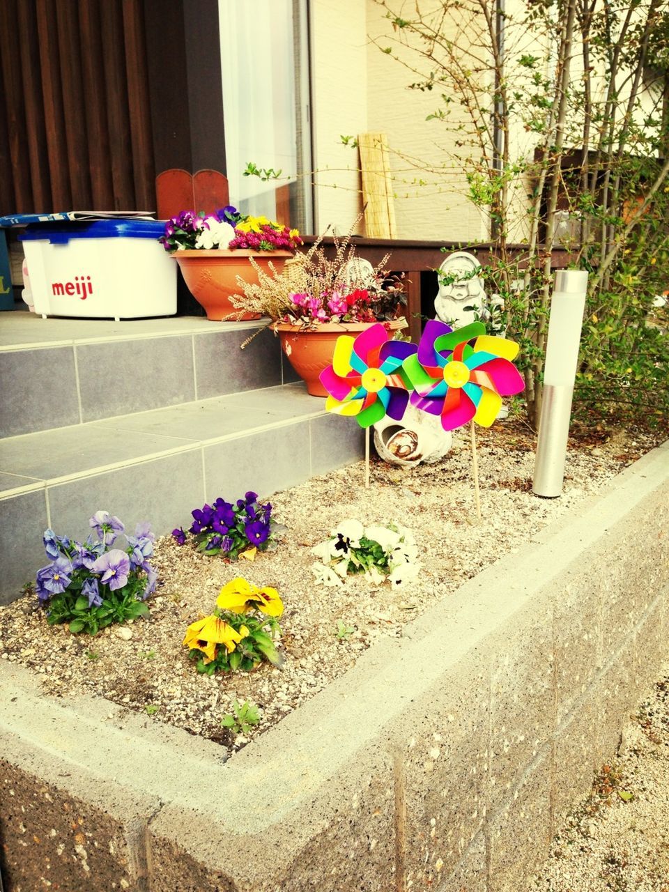 flower, multi colored, built structure, variation, plant, architecture, colorful, fragility, building exterior, potted plant, wall - building feature, day, petal, freshness, house, flower pot, no people, outdoors, growth, blooming