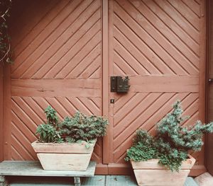 Potted plants outside house