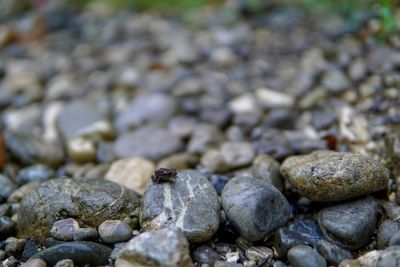 Close-up of stones on pebbles