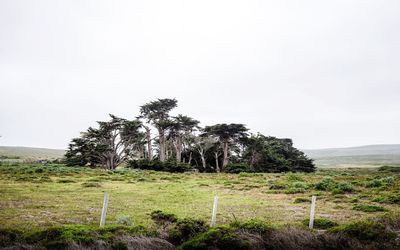 Scenic view of landscape against clear sky