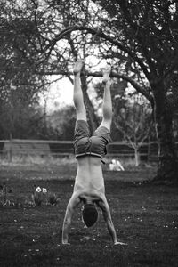 Full length of woman standing on tree trunk