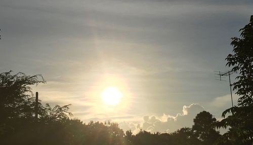 Low angle view of silhouette trees against sky during sunset