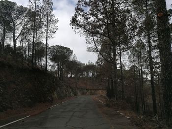 Empty road amidst trees in forest against sky