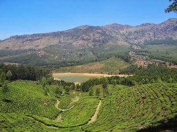 Scenic view of agricultural field against clear blue sky