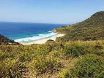 Scenic view of sea against clear sky