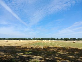 Scenic view of field against blue sky