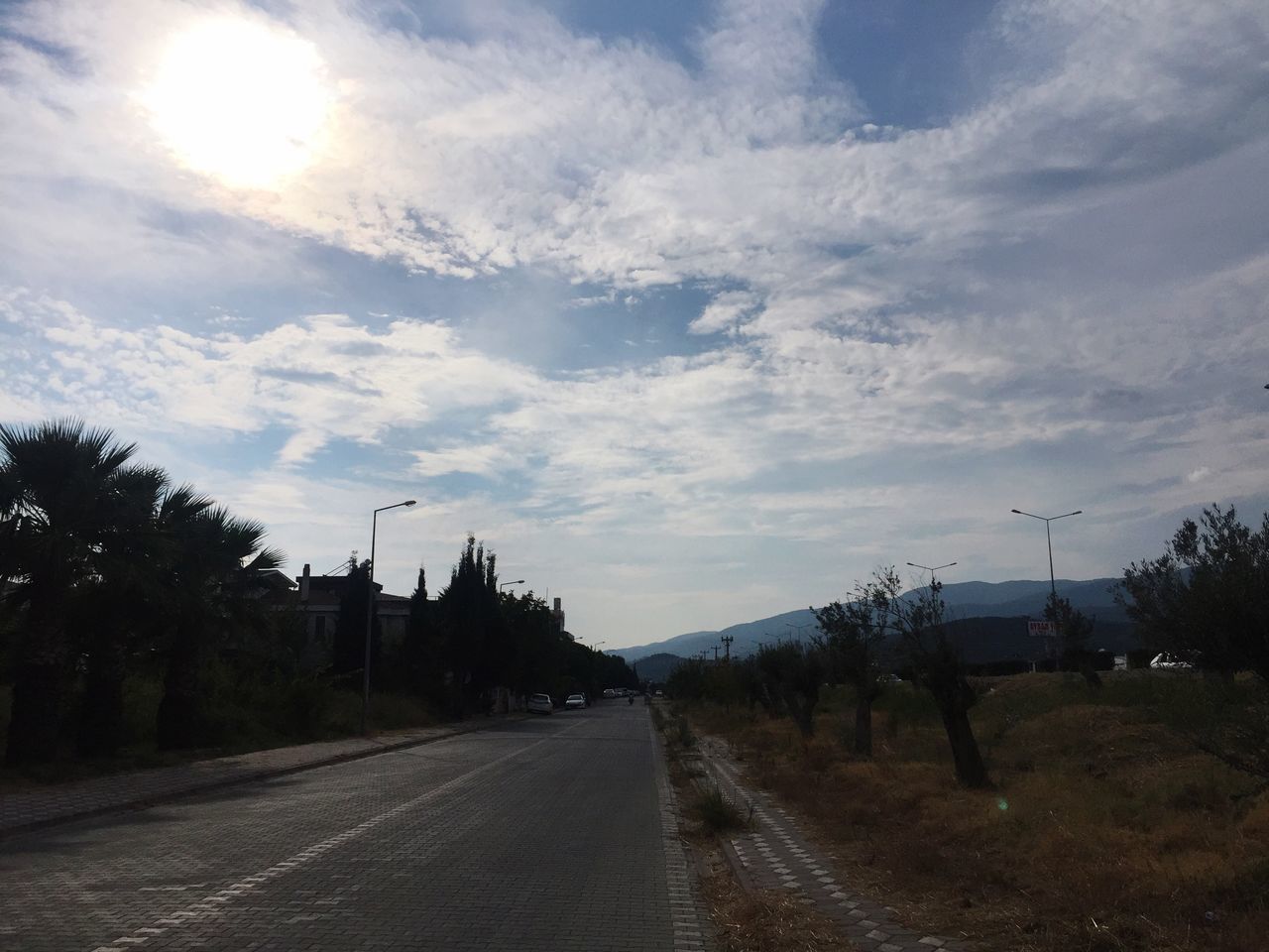 EMPTY ROAD AMIDST TREES AGAINST SKY