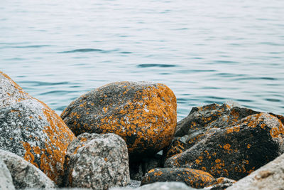 Close-up of rocks in sea