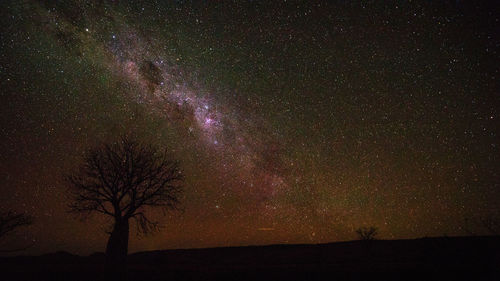 Low angle view of silhouette trees against star field at night