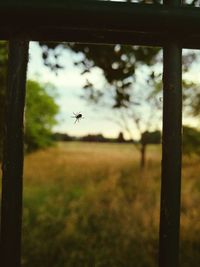 View of landscape at sunset