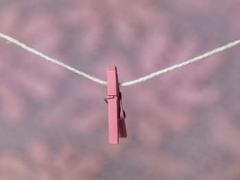 Close-up of clothespins hanging on rope