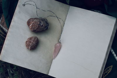 High angle view of cake on table