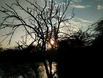 Silhouette of bare trees against sky