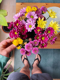 Low section of person holding purple flowering plant