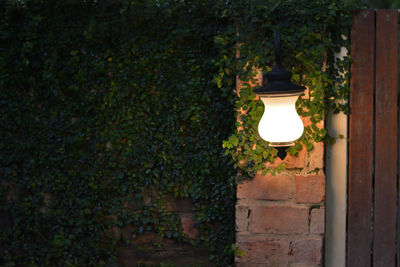 Illuminated street light on wall