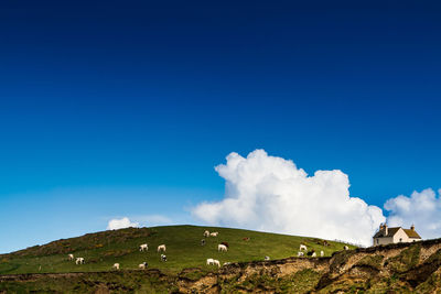 Low angle view of land against blue sky