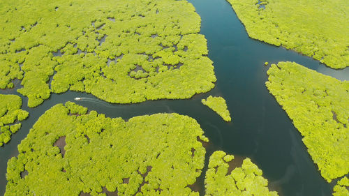 High angle view of leaf floating on water