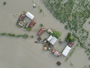 Flooded area in kurigram,bangladesh 
