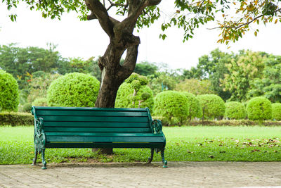 Bench against trees in park