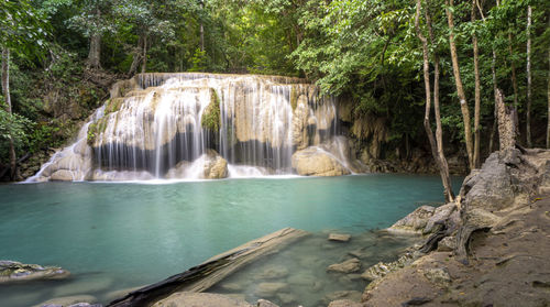 Scenic view of waterfall in forest