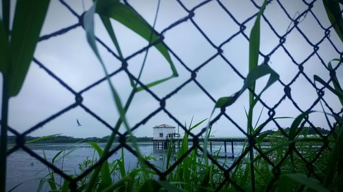 Lake and pier seen through chainlink fence