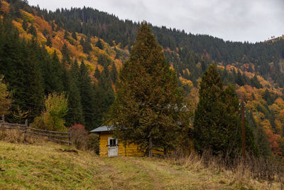 Trees on field against sky during autumn