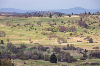 Scenic view of green landscape at bischofsheim an der rhon