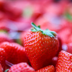 Close-up of strawberries