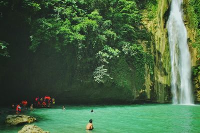 People by waterfall on trees
