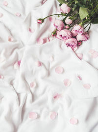 Pink roses petals on crumpled white fabric. natural decoration. romantic background. top view.