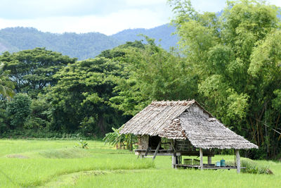 Built structure on field against trees