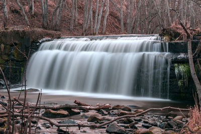 Scenic view of waterfall in forest