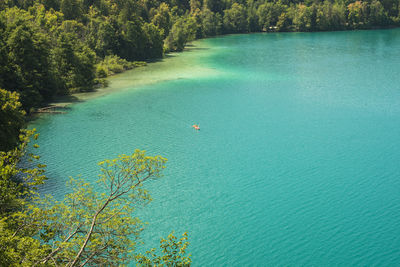 High angle view of sea and trees