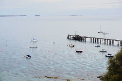 High angle view of sailboats in sea