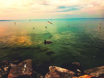 Scenic view of sea against sky at sunset