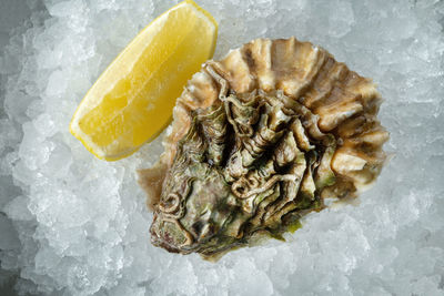 Close-up of pineapple slices