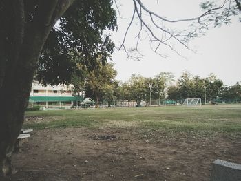 View of playground against trees in park