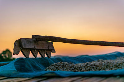 Close-up of wooden rake with dried grains against sky during sunset