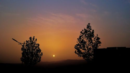 Silhouette tree on field against sky at sunset