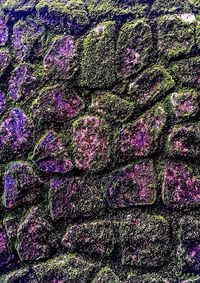 Full frame shot of purple flowers